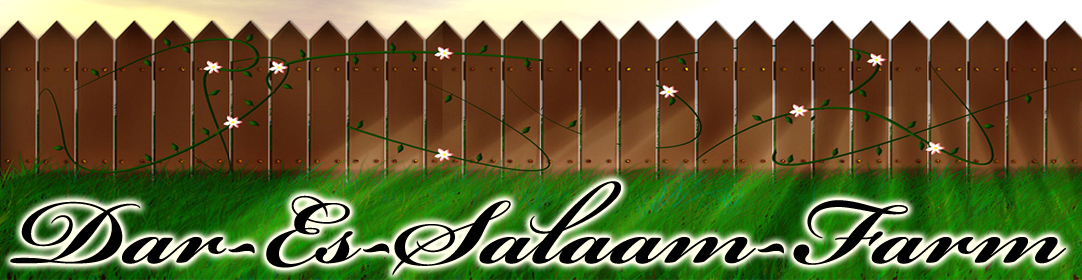Dar-Es-Salaam-Farm